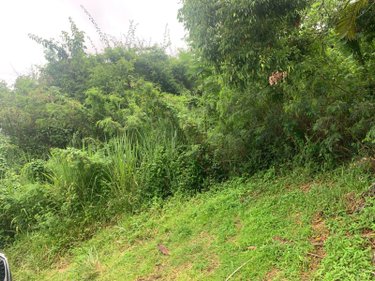 Terrain a batir a vendre Bois-de-Nefles-St-Paul 97411 Réunion 430 m2  171000 euros