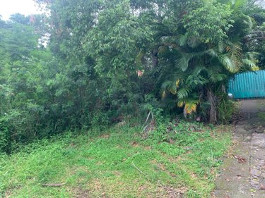 Terrain a batir a vendre Bois-de-Nefles-St-Paul 97411 Réunion 430 m2  171000 euros
