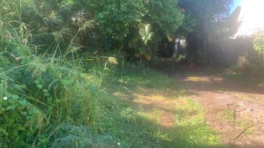 Terrain a batir a vendre Bois-de-Nefles-St-Paul 97411 Réunion 430 m2  171000 euros