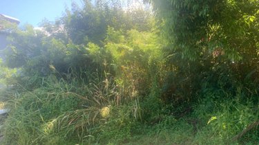 Terrain a batir a vendre Bois-de-Nefles-St-Paul 97411 Réunion 430 m2  171000 euros