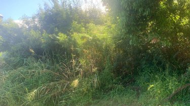 Terrain a batir a vendre Bois-de-Nefles-St-Paul 97411 Réunion 430 m2  171000 euros