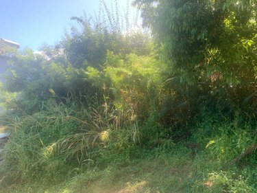 Terrain a batir a vendre Bois-de-Nefles-St-Paul 97411 Réunion 430 m2  171000 euros