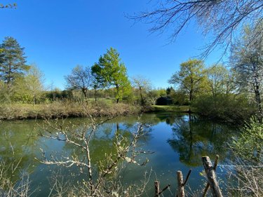 Terrains de loisirs bois etangs a vendre Saint-Genou 36500 Indre 7002 m2  22200 euros