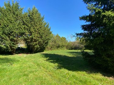 Terrains de loisirs bois etangs a vendre Saint-Genou 36500 Indre 7002 m2  22200 euros