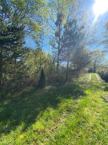 Terrains de loisirs bois etangs a vendre Saint-Genou 36500 Indre 7002 m2  22200 euros