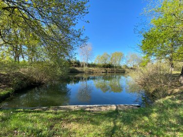 Terrains de loisirs bois etangs a vendre Saint-Genou 36500 Indre 7002 m2  22200 euros