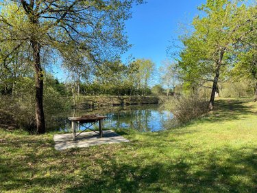 Terrains de loisirs bois etangs a vendre Saint-Genou 36500 Indre 7002 m2  22200 euros