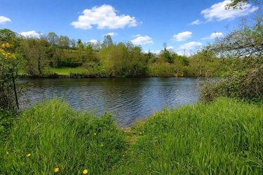 Maison a vendre Pont-d'Ouilly 14690 Calvados 91 m2 5 pièces 175345 euros