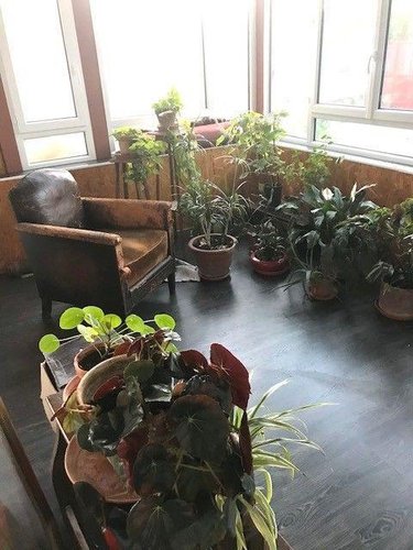 Maison a vendre Carayac 46160 Lot 103 m2 4 pièces 225920 euros