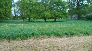 Maison a vendre Caro 56140 Morbihan 71 m2 4 pièces 70000 euros