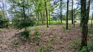 Terrain a batir a vendre Glénac 56200 Morbihan 870 m2  39900 euros