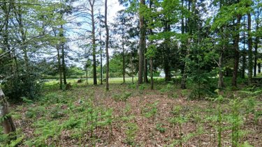 Terrain a batir a vendre Glénac 56200 Morbihan 870 m2  39900 euros