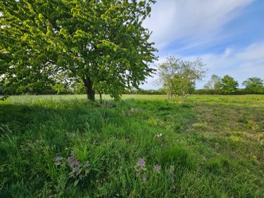 propriete a vendre Saint-Pierre-les-Bois 18170 Cher 200 m2  53000 euros