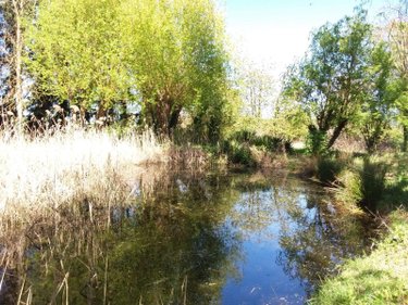 Maison a vendre Soings-en-Sologne 41230 Loir-et-Cher 125 m2 5 pièces 152500 euros