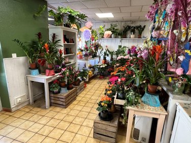 Fonds et murs commerciaux a vendre L'Isle-sur-Serein 89440 Yonne  45500 euros