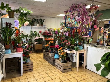 Fonds et murs commerciaux a vendre L'Isle-sur-Serein 89440 Yonne  45500 euros
