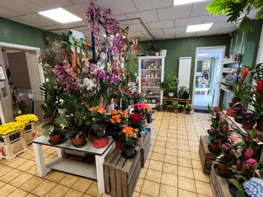 Fonds et murs commerciaux a vendre L'Isle-sur-Serein 89440 Yonne  45500 euros