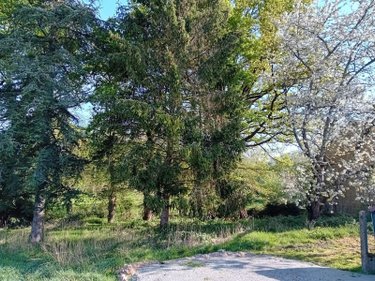 Terrain a batir a vendre Cournon 56200 Morbihan 688 m2  20000 euros