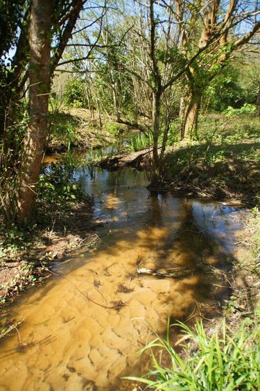 Maison a vendre Saint-Morillon 33650 Gironde 157 m2 5 pièces 735000 euros