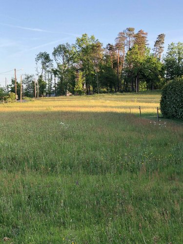 Terrain a batir a vendre Aubazines 19190 Corrèze 1683 m2  25724 euros