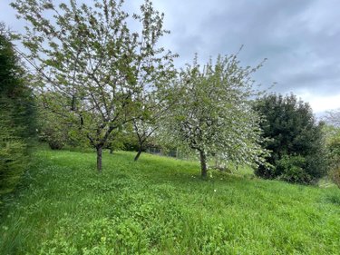 Maison a vendre Mélisey 89430 Yonne 85 m2 5 pièces 83000 euros