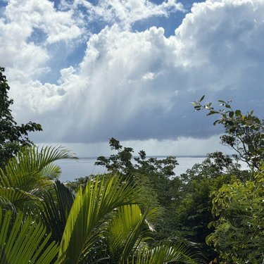 Appartement a vendre Saint-Denis 97400 Réunion 25 m2 1 pièce 93600 euros