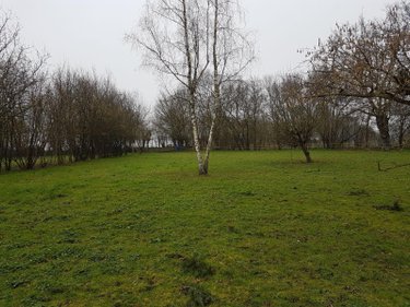 propriete a vendre Clermont-Créans 72200 Sarthe 283 m2 11 pièces 214840 euros