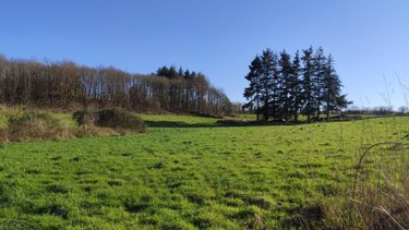 Maison a vendre Baud 56150 Morbihan 66 m2 3 pièces 53000 euros