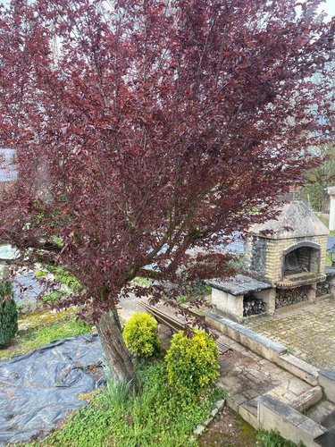 Maison a vendre Paray-le-Monial 71600 Saône-et-Loire 149 m2 6 pièces 219500 euros