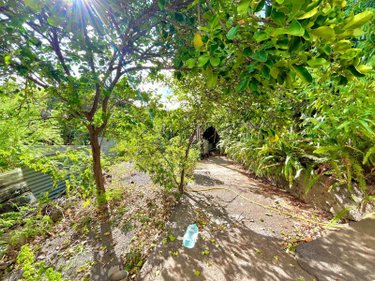 Maison a vendre Saint-Paul 97460 Réunion 55 m2 4 pièces 321000 euros