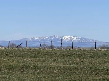 Divers a vendre 15 Cantal  79500 euros