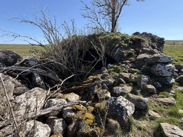 Divers a vendre 15 Cantal  79500 euros