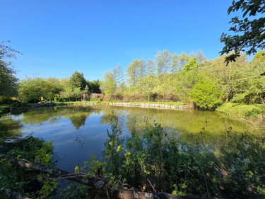 Terrains de loisirs bois etangs a vendre Villaines-la-Juhel 53700 Mayenne 1754 m2  11200 euros