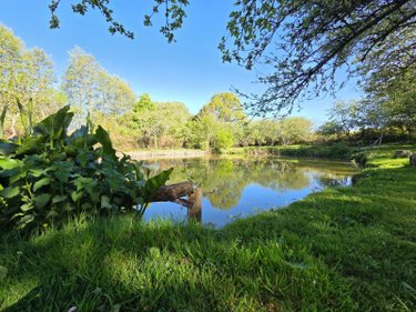 Terrains de loisirs bois etangs a vendre Villaines-la-Juhel 53700 Mayenne 1754 m2  11200 euros