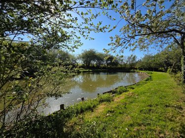 Terrains de loisirs bois etangs a vendre Villaines-la-Juhel 53700 Mayenne 1754 m2  11200 euros