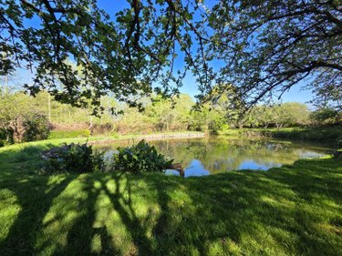 Terrains de loisirs bois etangs a vendre Villaines-la-Juhel 53700 Mayenne 1754 m2  11200 euros