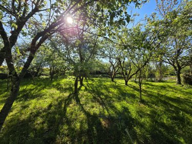 Terrains de loisirs bois etangs a vendre Villaines-la-Juhel 53700 Mayenne 1754 m2  11200 euros