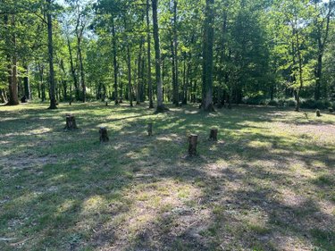 Maison a vendre Vernou-en-Sologne 41230 Loir-et-Cher 140 m2 5 pièces 222500 euros