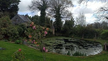 Maison a vendre Combourg 35270 Ille-et-Vilaine 430 m2 15 pièces 599000 euros