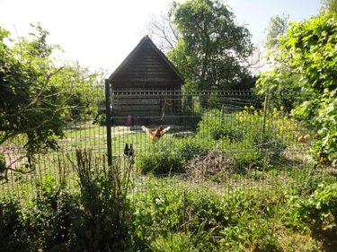 Maison a vendre Bailleul 59270 Nord 98 m2 11 pièces 281000 euros