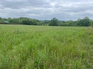 Terrain a batir a vendre Verteillac 24320 Dordogne 5939 m2  25000 euros