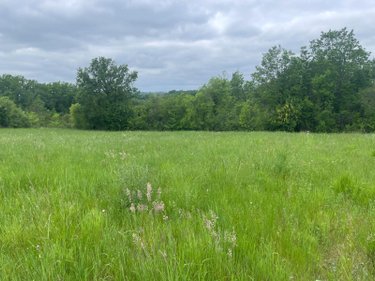 Terrain a batir a vendre Verteillac 24320 Dordogne 5939 m2  25000 euros