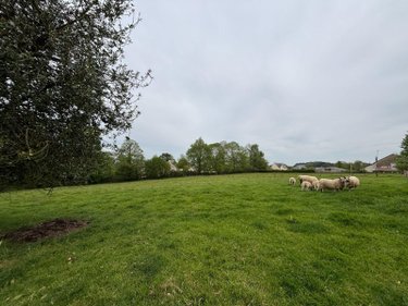 Maison a vendre Poilley 35420 Ille-et-Vilaine 70 m2 3 pièces 93564 euros