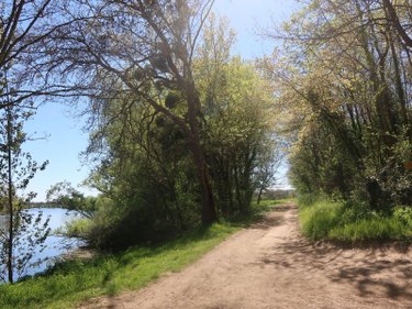 Terrains de loisirs bois etangs a vendre Vouneuil-sur-Vienne 86210 Vienne 6770 m2  9000 euros