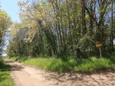 Terrains de loisirs bois etangs a vendre Vouneuil-sur-Vienne 86210 Vienne 6770 m2  9000 euros