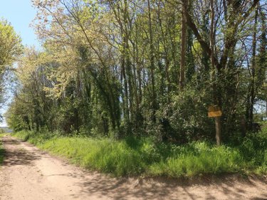 Terrains de loisirs bois etangs a vendre Vouneuil-sur-Vienne 86210 Vienne 6770 m2  9000 euros