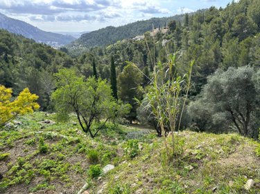 Maison a vendre Toulon 83000 Var 149 m2 4 pièces 532000 euros