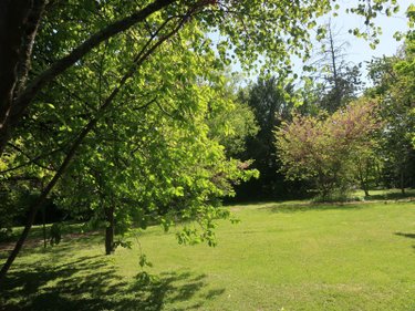 Maison a vendre Beaumont Saint-Cyr 86490 Vienne 225 m2 10 pièces 335360 euros