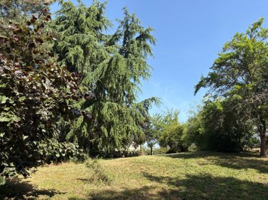 Maison a vendre Le Pêchereau 36200 Indre 166 m2 5 pièces 264620 euros