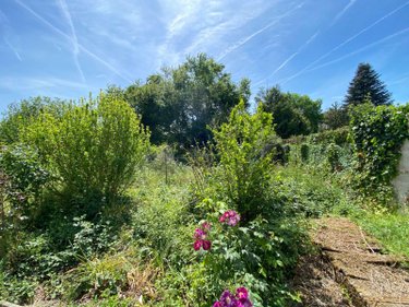 Maison a vendre Saint-Cyran-du-Jambot 36700 Indre 131 m2 4 pièces 146000 euros